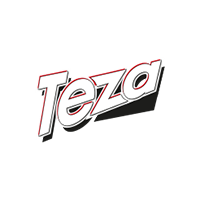 Teza